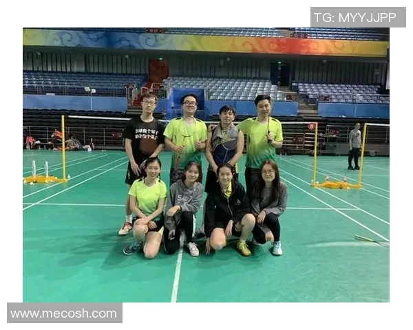 赛后分析:北京羽毛球队与南京羽毛球队在速度对抗中的表现与策略探讨