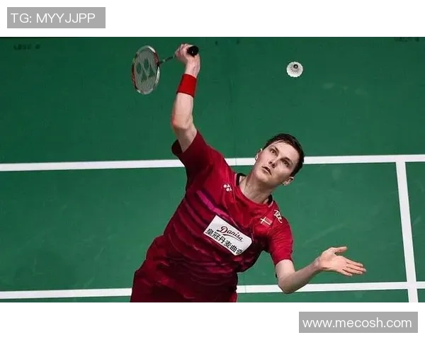 重庆羽毛球队进攻战术解析与训练方法深度剖析