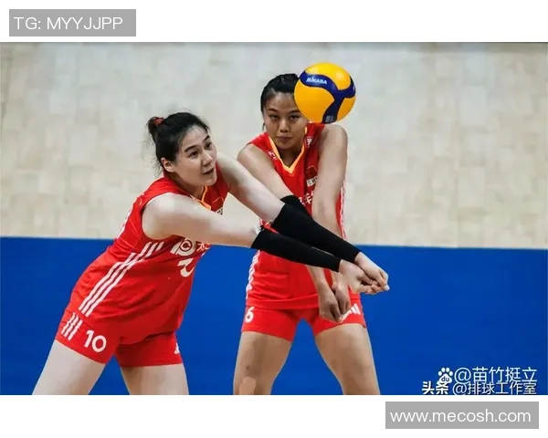 排球焦点：深圳排球队的技术探讨